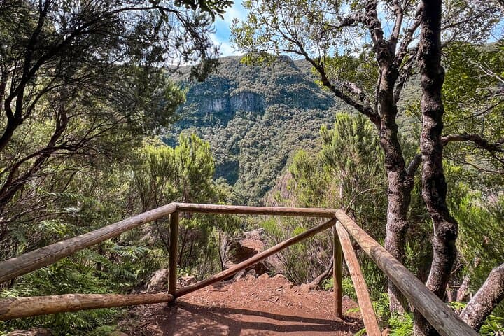 Rabaçal 25 Fontes Levada Walk — Classic Laurissilva Hike in Madeira photo 5