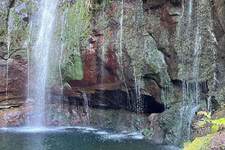 Rabaçal 25 Fontes Levada Walk — Classic Laurissilva Hike in Madeira photo 2
