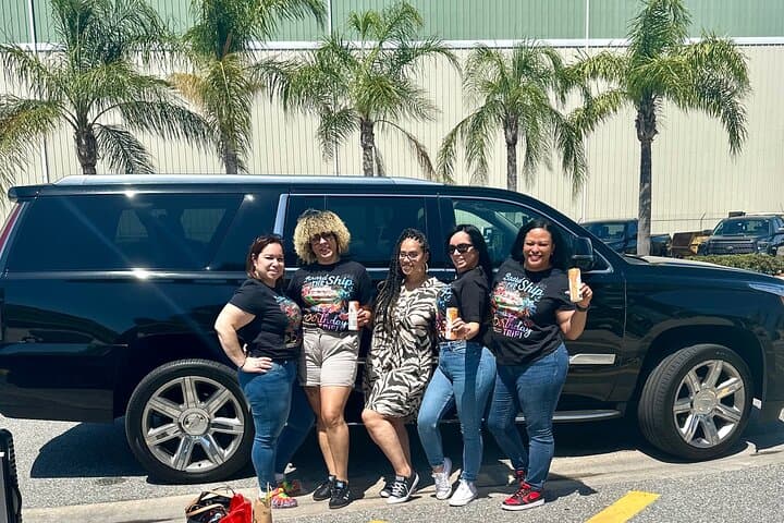 Orlando MCO to Port Canaveral Private Van Transfer — Reliable Roundtrip Airport-to-Port Shuttle photo 6