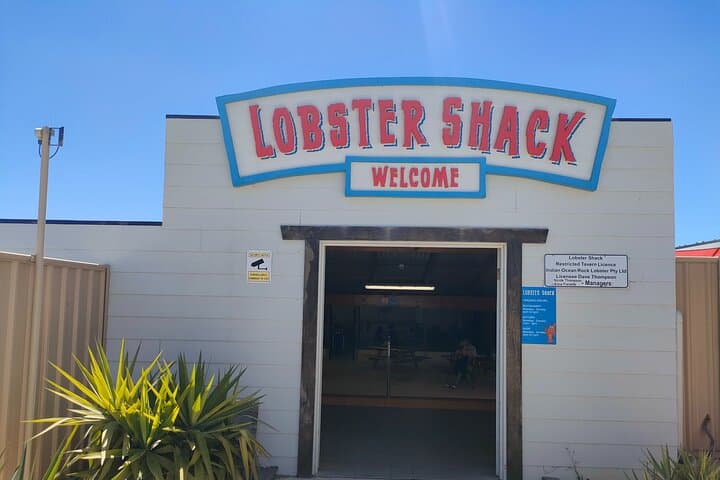 Pinnacles & Lancelin Sand Dune Day Tour from Perth — Pinnacles Desert, Lobster Shack & Wedge Island photo 4