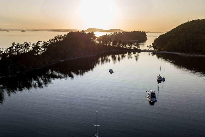 Bioluminescence Kayak Tour in San Juan Islands: Griffin Bay Night Paddle photo 4