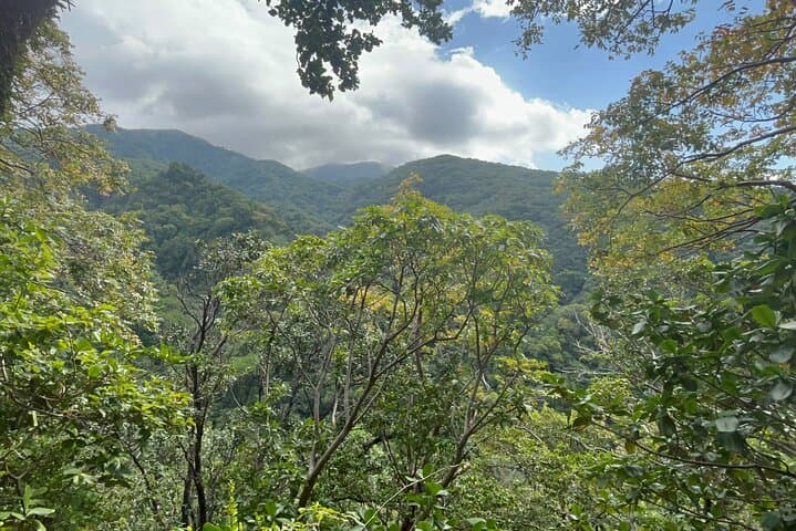 Wingfield Rainforest and Romney Manor Hike — St Kitts Forest Walk & Cultural Tour
