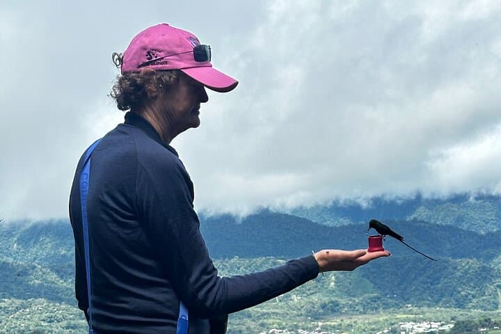 Mindo Cloud Forest and Intiñan Equator Tour — Birding, Chocolate & Mitad del Mundo from Quito photo 3