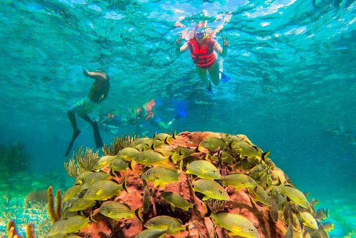 Puerto Morelos Snorkel Tour — Great Maya Reef, Tequila & Beach Lunch photo 3