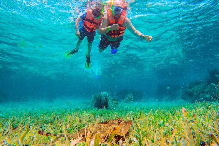 Cancun Ultimate 5-in-1 Adventure: Reef Snorkel, ATV, Zipline & Cenote Combo photo 4