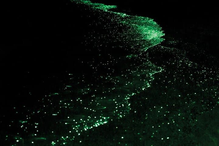 Bioluminescence Kayak Tour in San Juan Islands: Griffin Bay Night Paddle photo 1