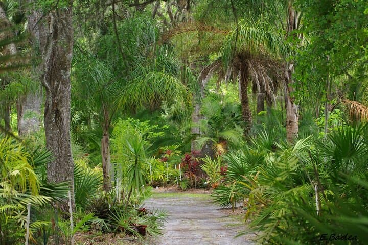 Private Walking Tour to St. Johns Botanical Garden & Nature Preserve — St. Augustine