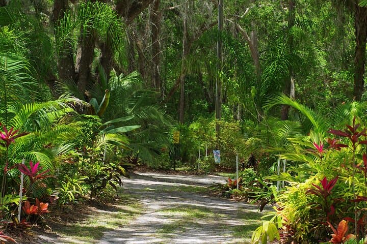 Private Walking Tour to St. Johns Botanical Garden & Nature Preserve — St. Augustine photo 2