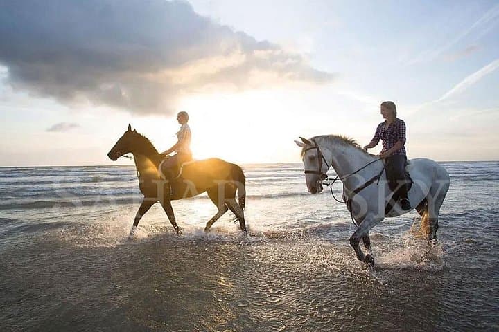 Horseback Riding in Djerba Lagoon — 2-Hour Coastal Horseback Tour in Djerba, Tunisia photo 1