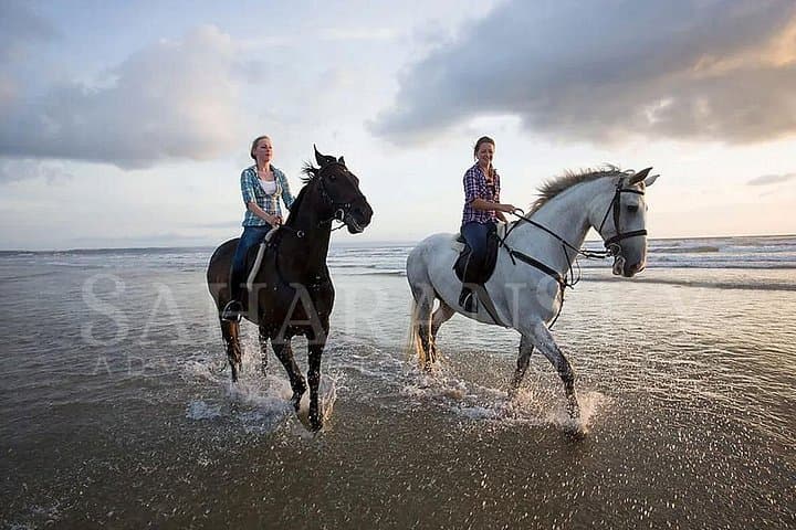 Horseback Riding in Djerba Lagoon — 2-Hour Coastal Horseback Tour in Djerba, Tunisia photo 3