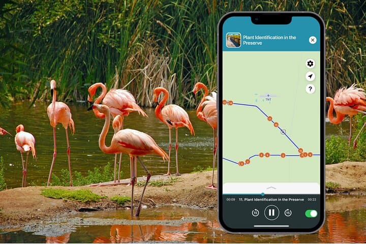 Big Cypress National Preserve Audio Tour Guide: Self-Guided Everglades Drive & Hikes photo 3