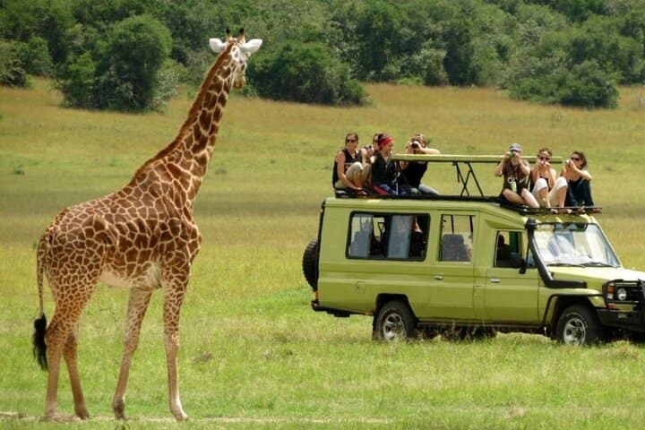 Cape Town to Durban: 7-Day Garden Route & Wild Coast Coastal Adventure photo 2