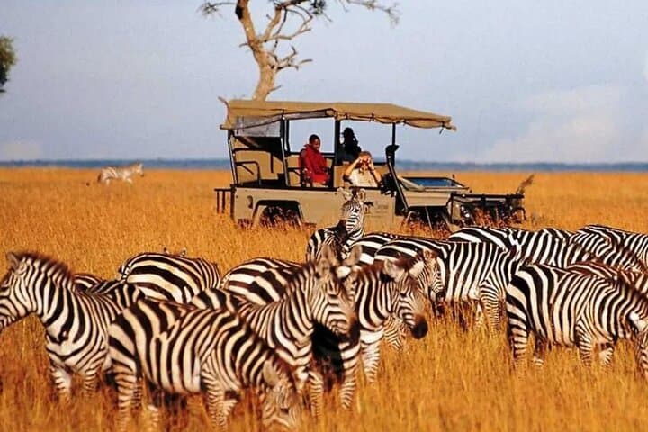 Garden Route Private Tour: 7-Day Durban to Cape Town Adventure photo 3