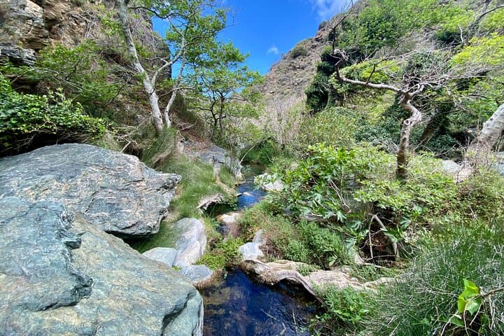 Richtis Gorge Waterfall Hike — Guided 8km Walk to Crete’s 20m Cascade photo 3