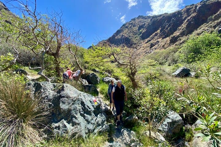 Richtis Gorge Waterfall Hike — Guided 8km Walk to Crete’s 20m Cascade photo 4