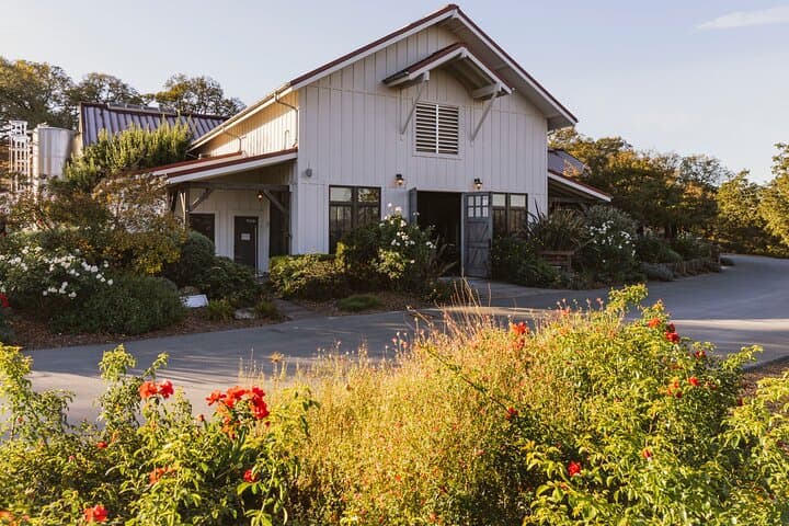 Private 6-Hour Napa and Sonoma Wine Tour in a Luxury SUV photo 5