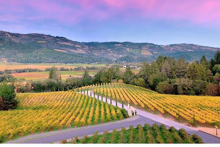 Private 6-Hour Napa and Sonoma Wine Tour in a Luxury SUV photo 2