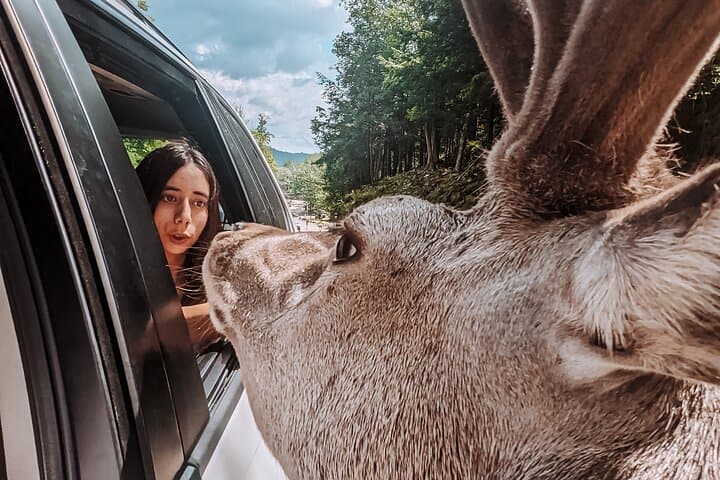 Private Parc Omega Wildlife Drive from Ottawa with Hotel Transfer photo 2