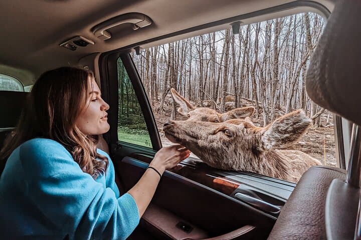Private Parc Omega Wildlife Drive from Ottawa with Hotel Transfer photo 3