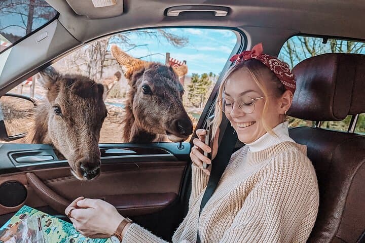 Private Parc Omega Wildlife Drive from Ottawa with Hotel Transfer