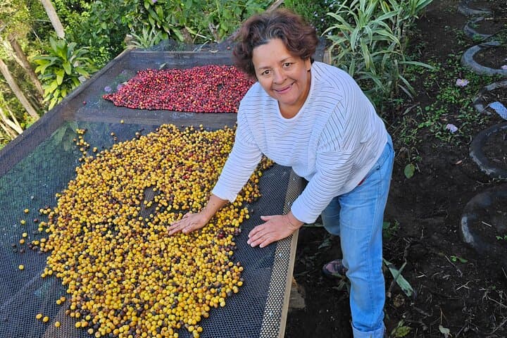 Ancestral Coffee Experience in Boquete: Hands-On Farm-to-Cup Tour photo 3