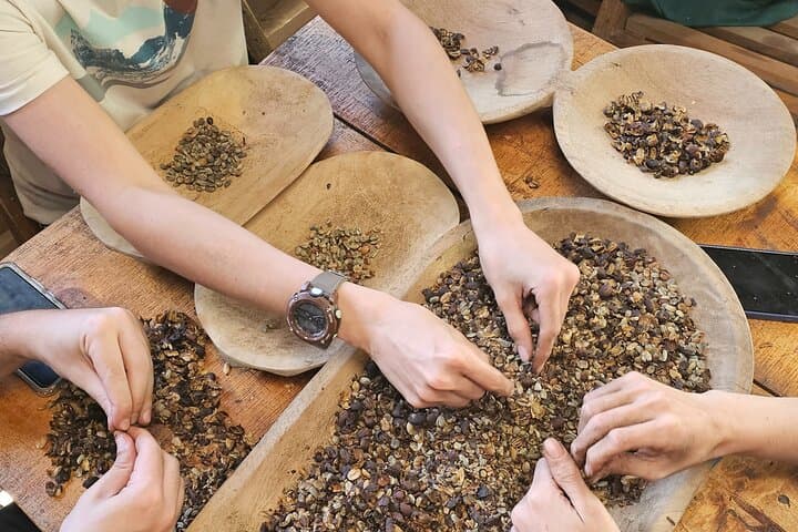 Ancestral Coffee Experience in Boquete: Hands-On Farm-to-Cup Tour photo 5
