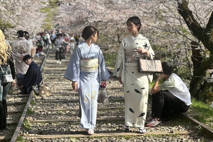 Private Kyoto & Nara Day Tour — Temples, Deer, and Local Insights photo 3