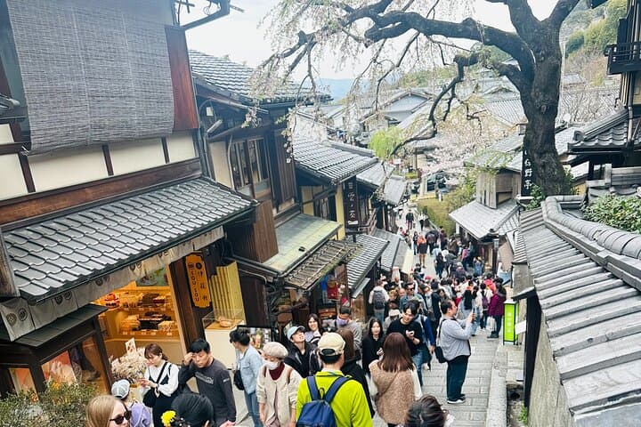 Private Kyoto & Nara Day Tour — Temples, Deer, and Local Insights photo 6
