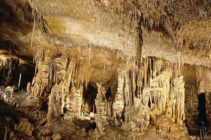 Caves of Drach Tour from Cala d'Or — Underground Lake Concert & Return Transfer photo 4