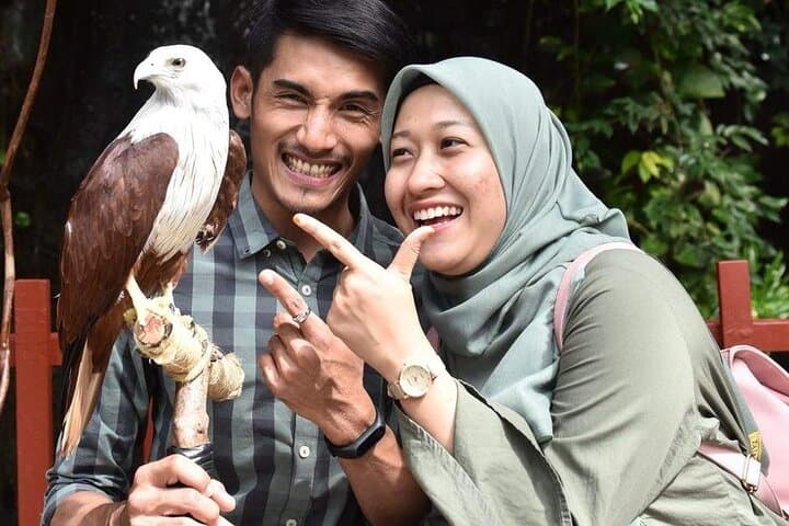 Langkawi Wildlife & City Tour: Crocodile Farm, Bird Park and Kuah Duty-Free photo 4