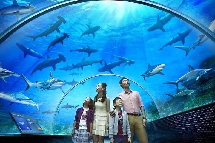 Langkawi Wildlife & City Tour: Crocodile Farm, Bird Park and Kuah Duty-Free photo 2