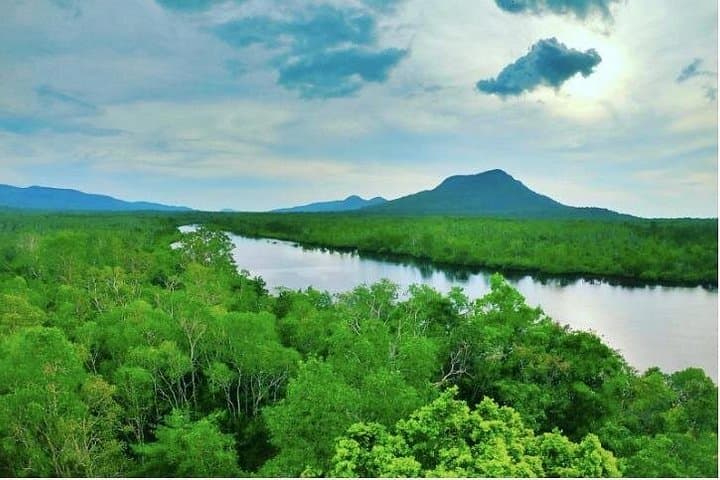 Phu Quoc Rach Tram SUP and Jungle Trek: Day Trip from Duong Dong photo 4
