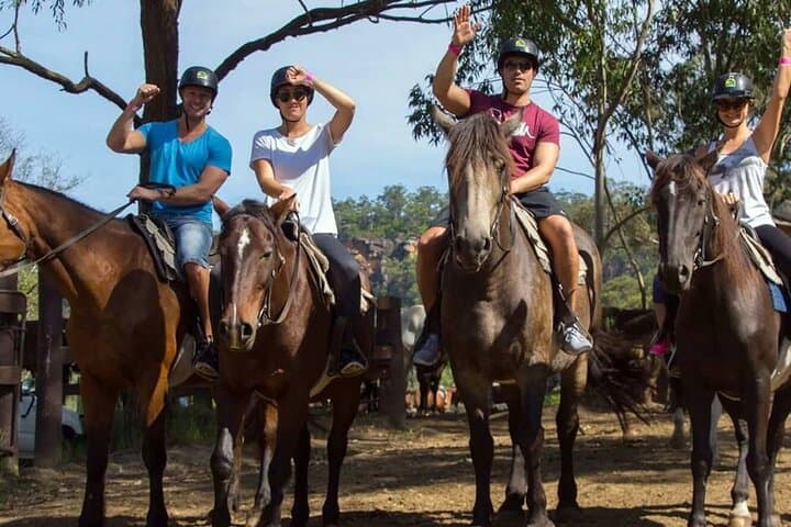Side Horse Safari: Forest Trails and Beach Gallop with Hotel Transfer photo 6