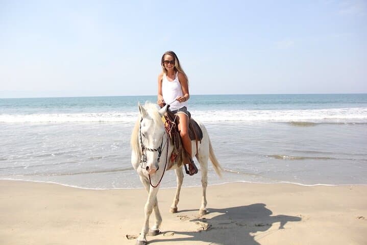 Side Horse Safari: Forest Trails and Beach Gallop with Hotel Transfer