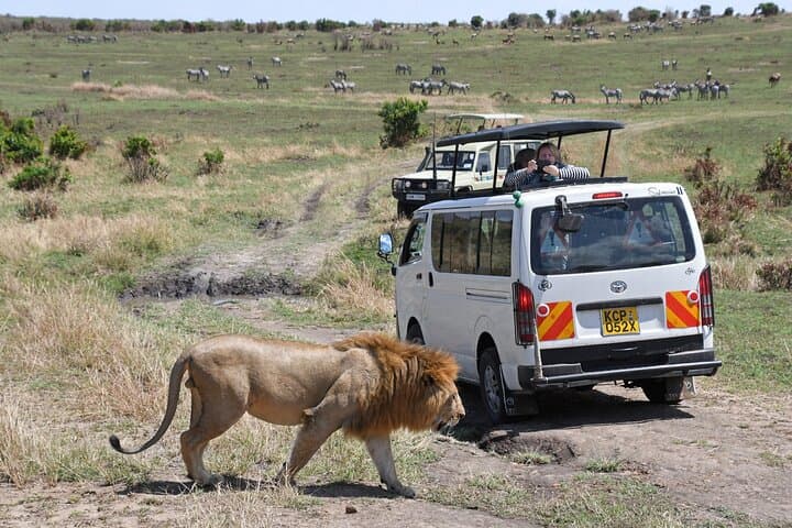 5-Day Kenya Safari: Lake Naivasha, Lake Nakuru & Masai Mara Big-Five Expedition photo 5