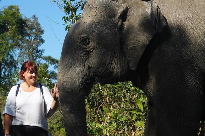 Angkor Wat Temples and Kulen Elephant Forest Day Tour — Siem Reap Cultural & Wildlife Day Trip photo 2