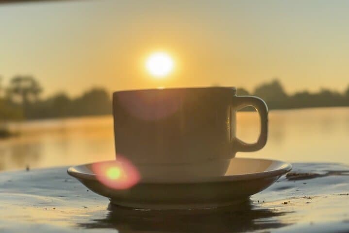 Early Morning Zambezi Sunrise Birdwatching Cruise at Victoria Falls photo 3