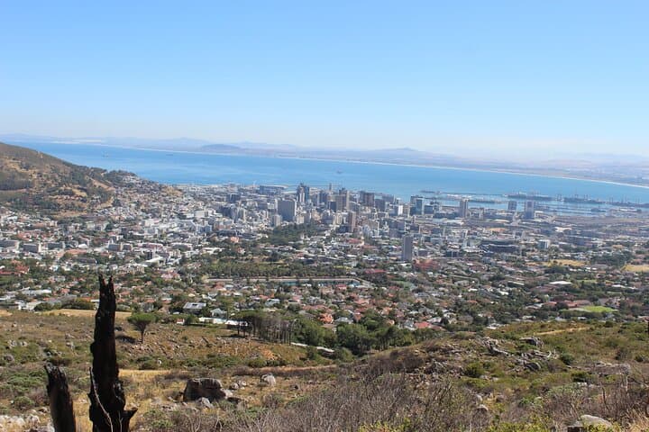 Cape Town Explorer: 5-Day Private Tour — Table Mountain, Winelands & V&A Waterfront photo 5