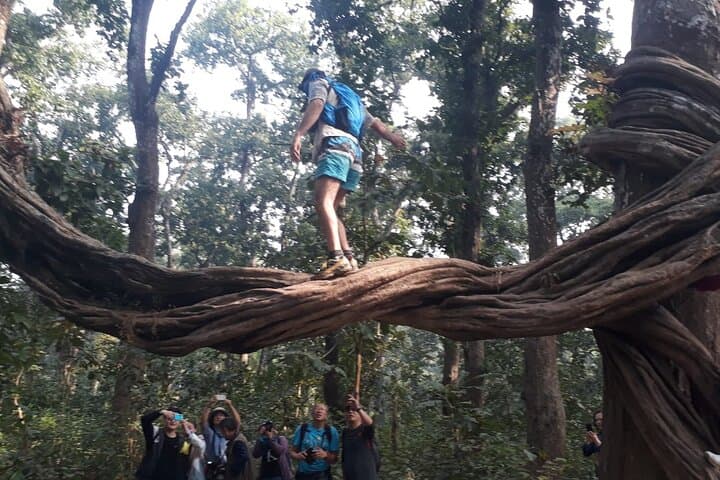 Overnight Tiger-Tracking Tower Stay in Chitwan National Park