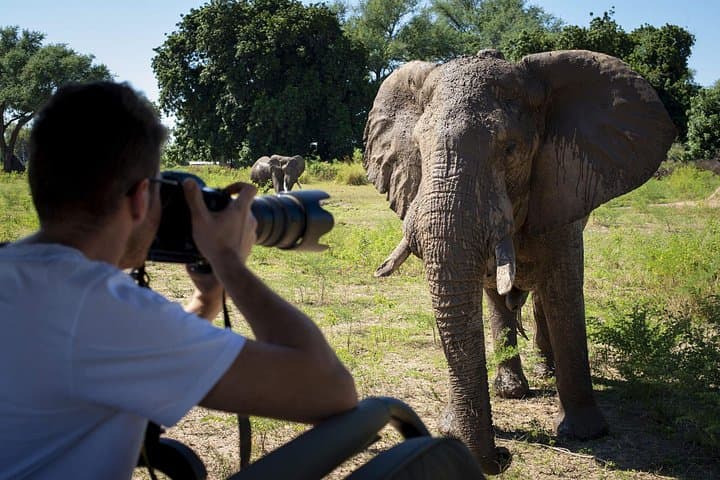 4-Day Masai Mara Safari by 4x4 Jeep: Best Game Drives, Logistics & Tips photo 2
