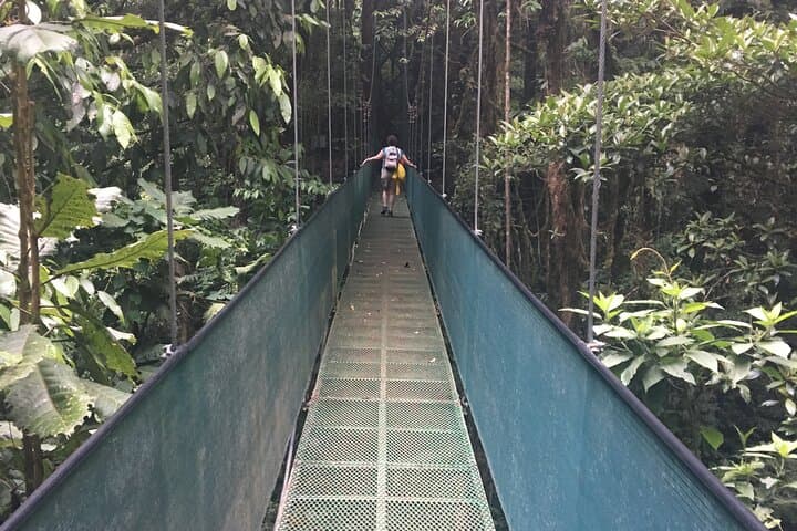 Arenal Hanging Bridges, Hot Springs & Dinner: La Fortuna Day Tour photo 3