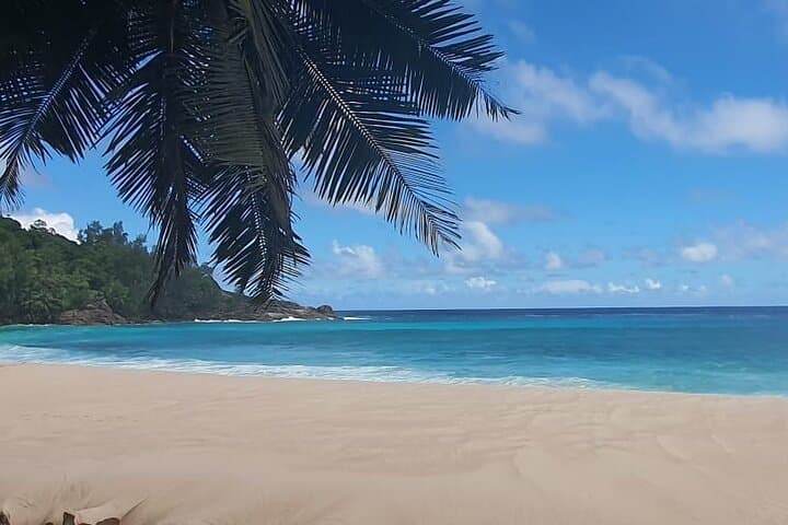 Private 5-Hour Mahe Tour: Victoria Market, Rum Tasting & Spice Garden photo 3