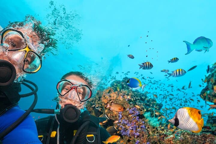 Certified Shore Dive in Polignano a Mare — 2‑Hour Guided Scuba with Photos photo 2