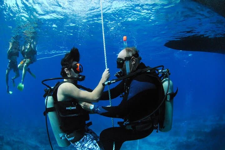 Discover Scuba and Snorkel Excursion in Charlotte Amalie — One-Tank Dive in a Protected Cove photo 3
