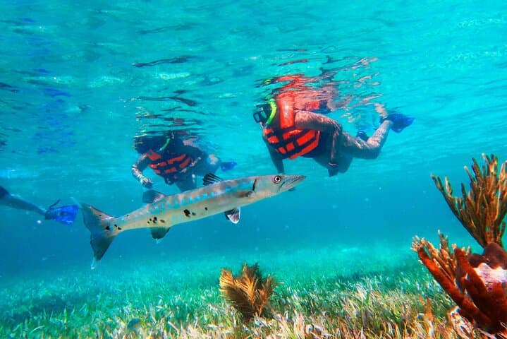 Snorkel Puerto Morelos: Great Maya Reef Day Trip with Town Walk & Beach Lunch photo 6