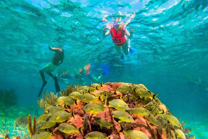 Snorkel Puerto Morelos: Great Maya Reef Day Trip with Town Walk & Beach Lunch photo 5