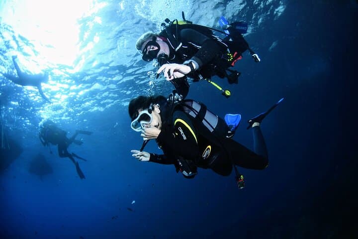 Diving the Montgrí Natural Park: Beginner’s Underwater Baptism at L'Estartit