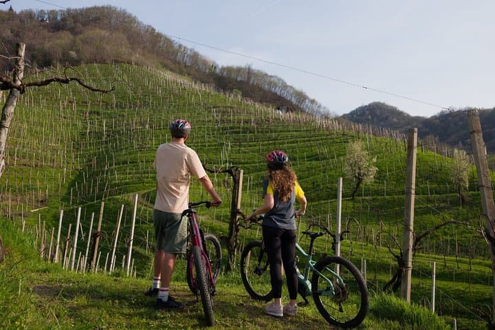 E-bike Tour in Valdobbiadene: Ride the UNESCO Prosecco Hills photo 5