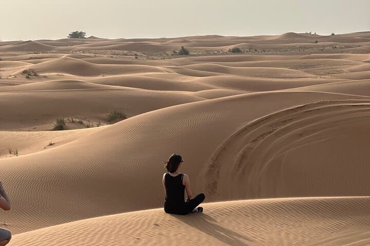 Dubai Desert Safari — Dune Bashing, Camel Ride & VIP BBQ Camp Experience