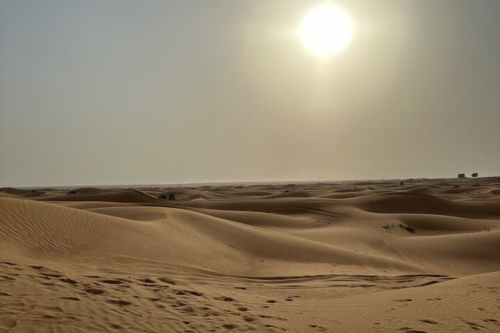 Dubai Desert Safari — Dune Bashing, Camel Ride & VIP BBQ Camp Experience photo 2